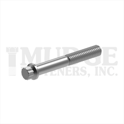 5/16-18X2-1/4  12 PT FLANGE CAP SCREW ZN